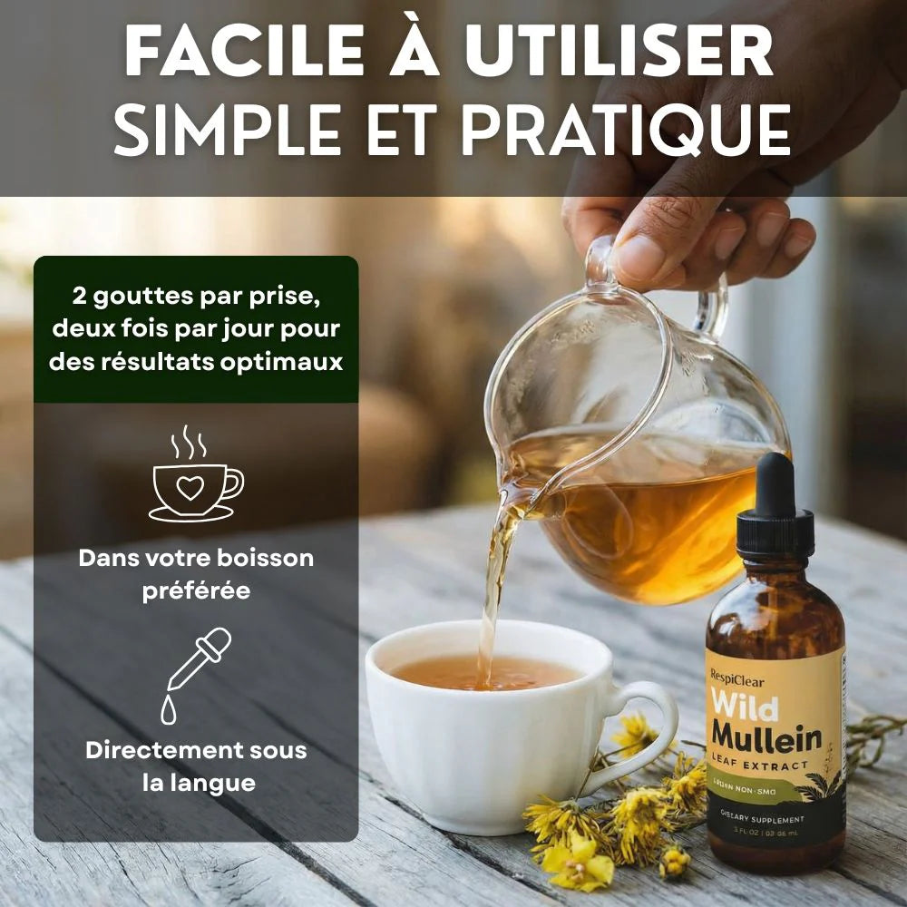 Détox Poumons 3-en-1