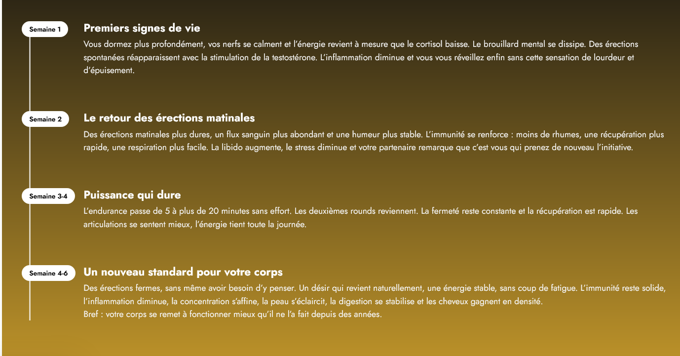 Retrouvez votre puissance naturelle